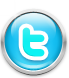 twitter lone star parties